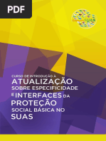 Especificidades_Interfaces Da Assistência