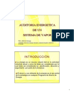 Auditoria Energetica.pdf