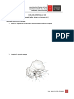 Guia de Aprendizaje de Anatomía y Fisiología