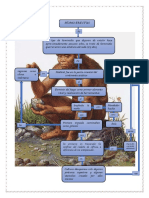 Diagrama Flujo Cuento