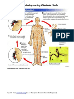 Filariasis - Siklus Hidup Cacing Filariasis Limfe - Kompas PDF