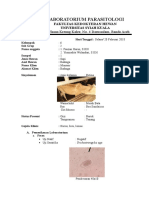 Parasitologi Laboratorium Sapi