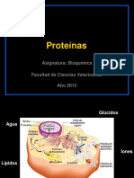 1401628008.proteínas 2013