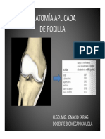 Anatomia Aplicada New