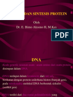 Dna, Gen Dan Sintesis Protein