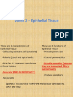 Week 2 Study Materials - Epithelium and Glands