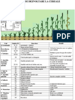 01-STADIILE-DE-DEZVOLTARE-LA-CEREALE.pdf