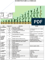 01 Stadiile de Dezvoltare La Cereale PDF