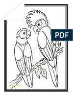 PARROTS.docx