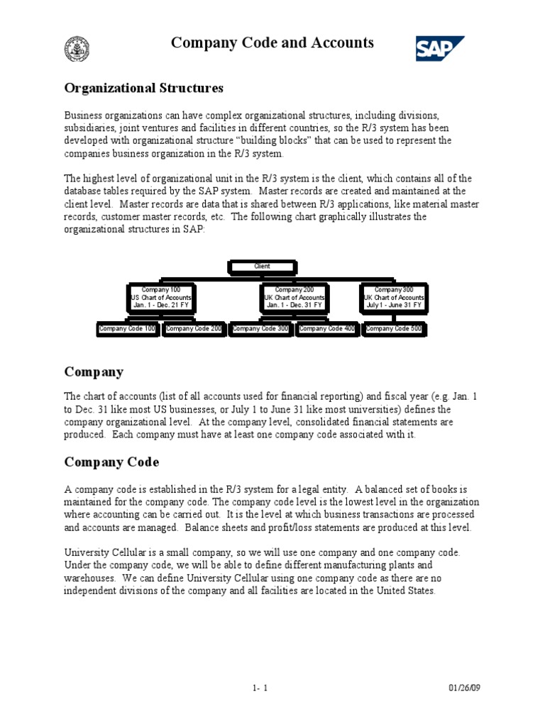 001-company-code-and-accounts-pdf-pdf-business-computing