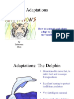 Adaptations: How Do Animals and Plants Adapt To Survive in Their Surroundings?