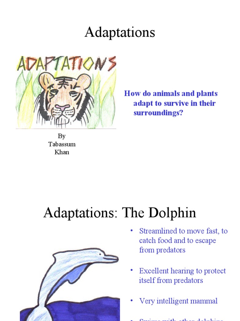 Adaptations How Do Animals and Plants Adapt To Survive in Their