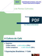 4doenças Do Cafeeiro Atual