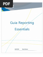 Guia Reporting Essentials