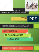 Diagnóstico familiar y estructura sistémica