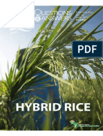 Rice Booklet - Hybrid Rice Q and A