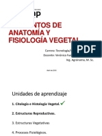 2.1.1 y 2.1.2. Estructuras Reproductivas. Semilla