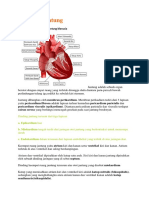 Anatomi Jantung.docx