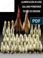 ALIMENTACION AVES (gallinas postura y pollos eng).pdf