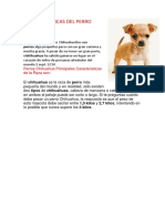 Caracteristicas Del Perro Chihahua