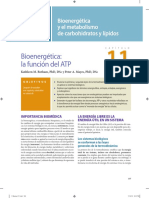 2013 Bioenergética La función del ATP.pdf