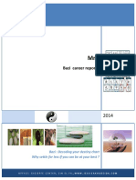 Bazi Career Report SAMPLE PDF