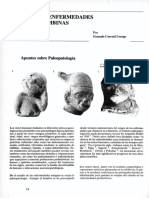 PALEOPATOLOGIA