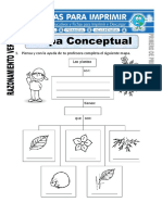 Ficha de Mapa Conceptual para Primero de Primaria