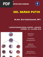 2018  SDP  S1 UNDANA.pdf