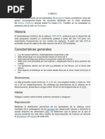 Cabinza Avance