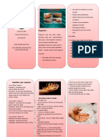 Combustio Leaflet