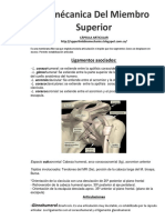 Biomecánica del Miembro Superior: Cápsula Articular y Ligamentos