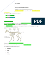 Apuntes Biologia Reino Animal y Vegetal