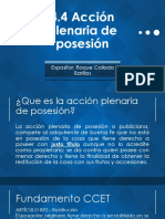 4.4 Acción Plenaria de Posesión