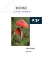 388501162.Reino Fungi