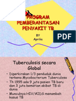 File 2013-07!09!15!17!10 Suharyo, SKM, M.kes Presentasi Prog Pemb Peny TB (1)