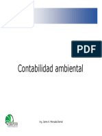 Diapostivas Contabilidad Ambiental