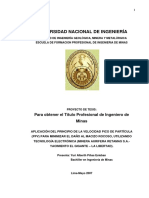 218941861-Tesis-Teoria-Pico-Particula.pdf