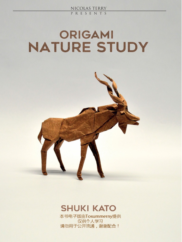 Origami Nature Study by Shuki Kato1