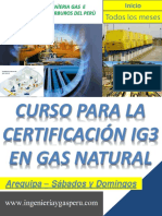 BROCHURE Gas Natural IG3 PDF
