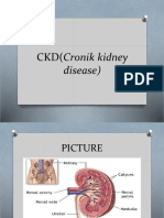 CKD(Cronik Kidney Disease)