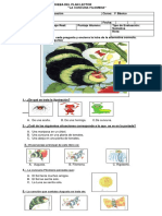 Prueba La Cuncuna Filomena