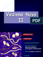 VezivnotkivoII PDF