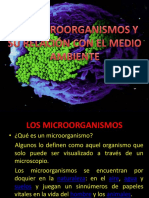 Relacion de Microorg. Con El Medio Ambiente-1 - 254