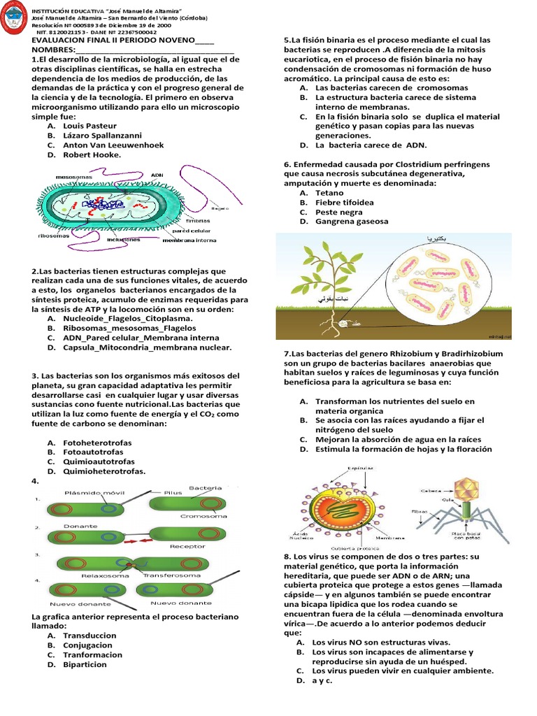 Evaluación de Microorganismos y Virus | PDF | Virus | Las bacterias