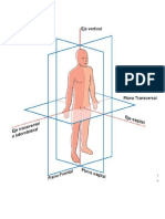 kinesiologia