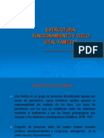 Estructura, funciones y ciclo vital familiar