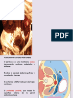Peritoneo 2018