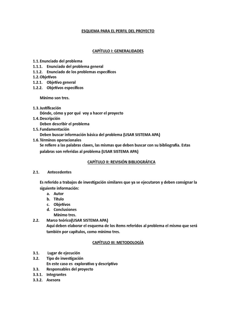 Esquema para Perfil de Proyecto | PDF | Informática