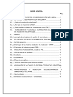 Fundamentos y Principios de La Produccion Mas Limpia